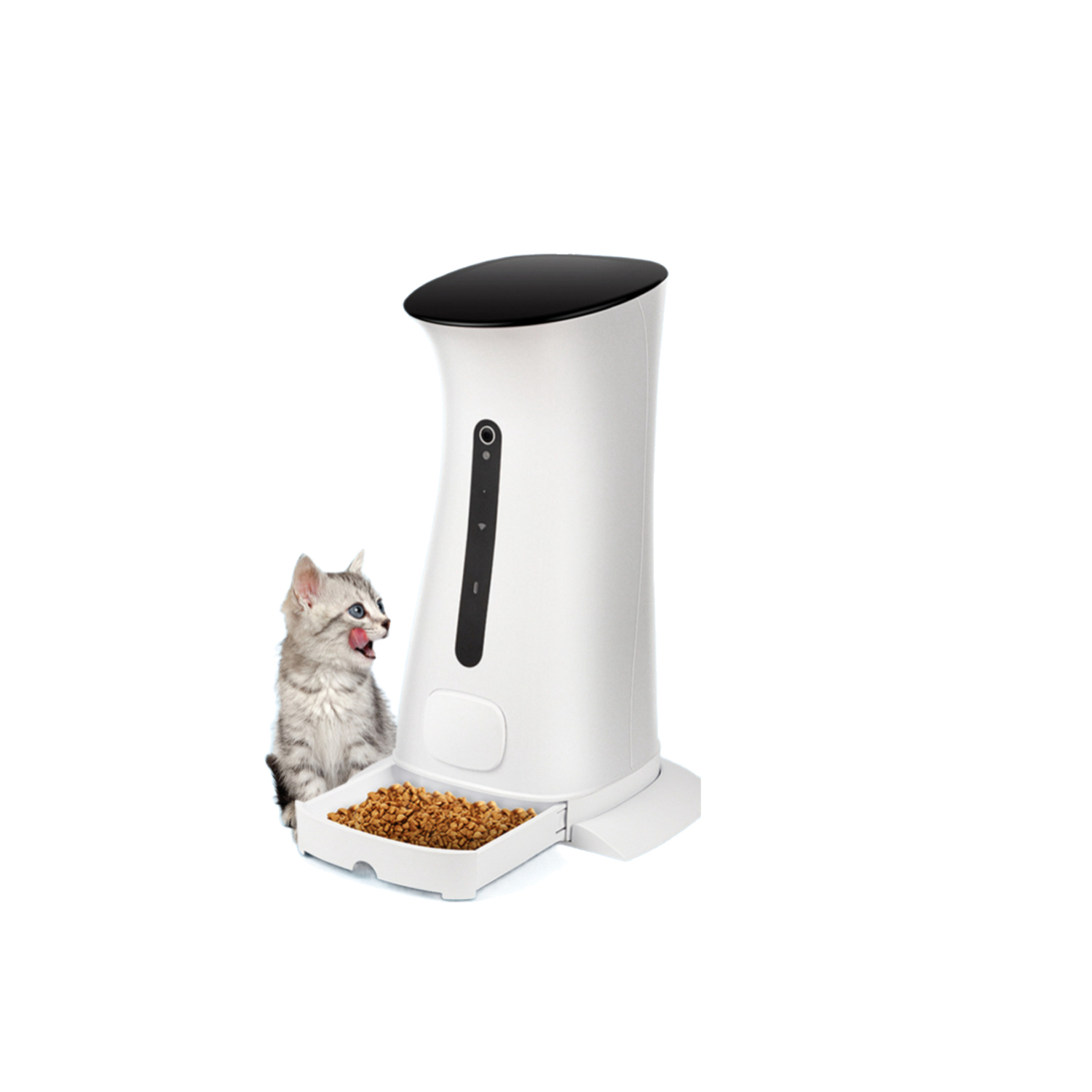Pet Feeder#4