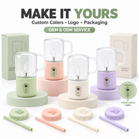 Mini-mixeur portable 300 ml rechargeable par USB, extracteur de jus personnel, mixeur électrique, petit mixeur à smoothies