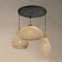 Luminaire suspendu en rotin tissé à la main avec LED, lumière naturelle, hauteur réglable, taille moyenne, pour la maison et l'hôtel, design Wabi-sabi