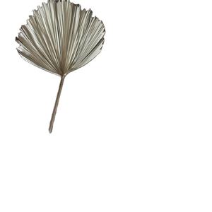 Q-1063 Feuilles de <span class=keywords><strong>palmier</strong></span> séchées naturelles, <span class=keywords><strong>éventail</strong></span> fleuri, écologique, décoration de mariage, Saint-Valentin, décoration de la maison - Product Image 3