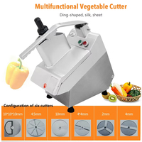 XEOLEO Commercial 6 lames coupe-légumes multi-fonction électrique déchiqueteuse 550W automatique trancheuse de fruits carotte Dicer