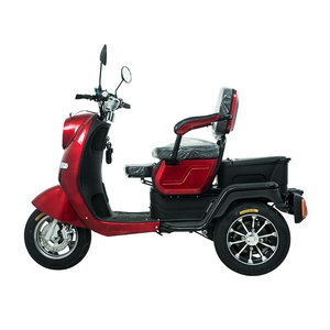 VISTA-2 500W 2021 Triciclo de Pasajeros Automático de Nuevo Estilo con Asiento de Seguridad para Adultos - Product Image 1