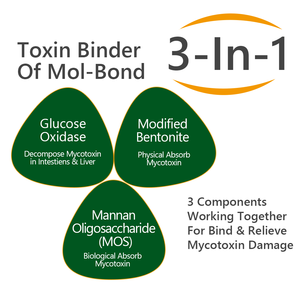 MolBond, Bentonit Maya MOS Glikoz Oksidaz Enzim Bağlayıcı Mikotoksin Biyolojik Olarak Parçalanabilen Aflatoksin Zearalenon İçerir - Product Image 2