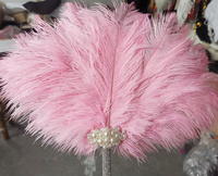 HS algues grand ventilateur de plumes d'autruche pour femmes Costume thé fête vacances approvisionnement danse mariée mariage décor Photoshoot accessoire