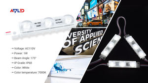 AC 220V/110V SMD2835 <b>LED</b> Light Module 1W 50pcs/lot Hot Sale 175 Degree Waterproof <b>Diffuse</b> Lens 64mm*13mm IP68 No Need - Product Image 2