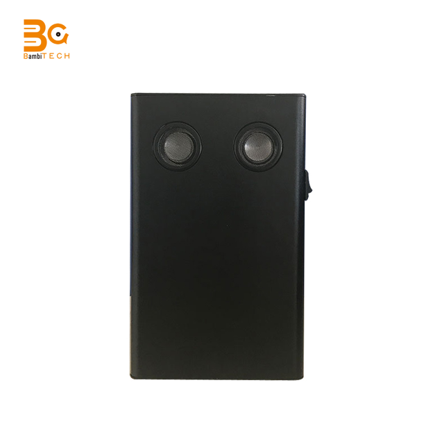 Portable Handheld Recording Voice Recording Audio Recorder Silent Audio White Noise Generator Detector
