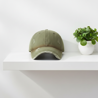 Gorra Trucker de Moda con Bordado 3D de Alta Calidad, Malla, Mezclilla y Terciopelo, 6 Paneles, Cierre a Presión, 100% Algodón, para Playa, Ciclismo y Actividades al Aire Libre
