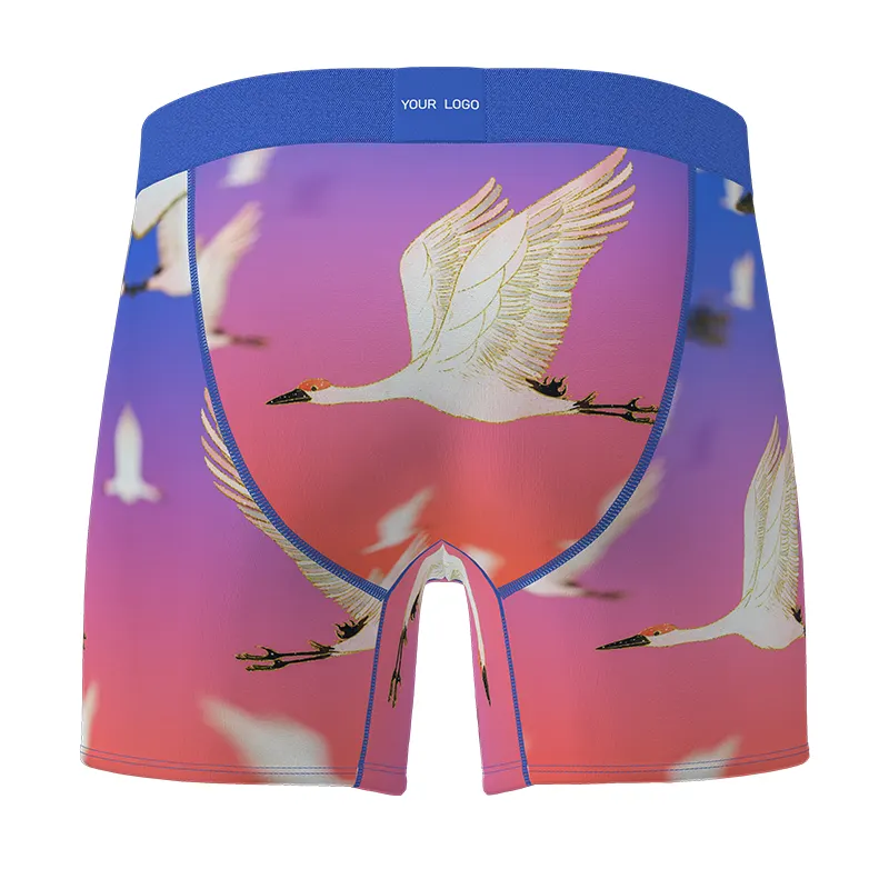 2024 célèbre marque grande taille respirant séchage rapide 3D Sublimation impression Logo personnalisé hommes garçon slip boxeurs