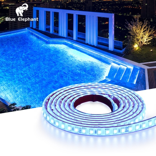 IP68 Waterproof Underwater LED Strip Light for Swimming Pool Smart Neon Beds Decoration Rope ABS Lamp Body for Landscape