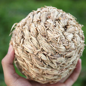 Pet Hamster Totoro Lapin Oiseau <span class=keywords><strong>Cloche</strong></span> Herbe Balle Jouet Durable Molaire Jouer Boule de <span class=keywords><strong>Foin</strong></span> avec <span class=keywords><strong>Cloche</strong></span> Intégrée pour Petits Animaux - Product Image 4