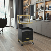 Vente en gros Chariot de salon en acier inoxydable noir Chariot d'organisation pour coiffure beauté Chariot d'extension de cheveux pliant mobile