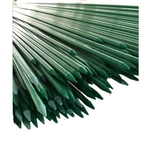 FRP Fiberglass Training Rods,one <b>Pencil</b> End for Tree Nursery Plant Support - Product Image 1