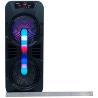 GTS-1702 8 pouces * 2 10W * 2 extérieur Boombox Radio Fm portabilité sans fil Subwoofer haut-parleur Portable Mini Radio karaoké Microphones