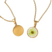 Collier en fleurs naturelles de mousse de lierre et de myosotis, pendentif en plastique style forêt, chaîne en bambou simple et polyvalente, pour femme, style sportif, directement de l'usine