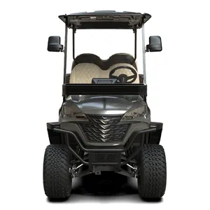 chinese new energy Luxury 2 4 6 Seater off raod Club car Hunting Golf Cart buggy for sale