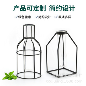 Transparent Glass Hydroponic Vase 37x45x150mm For Tabletop Decoration Living Room Display - Product Image 3