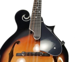 HUASHENG High Quality Acoustic Oud Mandolin F Style <strong>8</strong> <strong>String</strong> for Beginner Professional Players Jiangsu Origin Model HSMDL1011-1 - Product Image 3