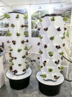 Système de culture hydroponique verticale d'intérieur de grande taille pour légumes, tour de culture hydroponique verticale