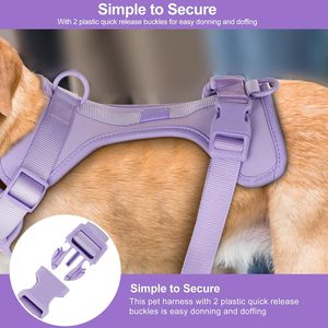 Harnais Réfléchissant Ajustable en Nylon Bleu à Motifs Floraux avec Sangle Poitrail et Boucle pour Chien et Chat, Vente en Gros Fabricant - Product Image 4