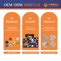 Indicateur de surveillance des soins de santé à changement de couleur PH très absorbant Gel de silice Cristal Litière pour chat Sable