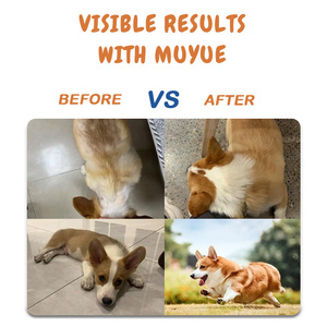 OEM Custom Logo 120 Soft Chew 8-in-1 Multivitamin Supplement Dogs Natural Vitamin Supplements Turkey Pet Health Care Supplements - Product Image 5