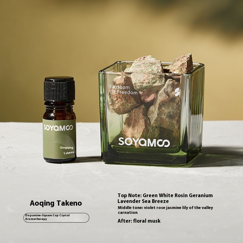 Advanced Fragrance Stone - Eco-Friendly Aromatherapy Set