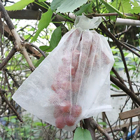 Tas gambar jala anti serangga, tas pelindung buah, tas gambar jaring anti serangga, tas tangan ramah lingkungan