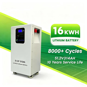 Diseño que Ahorra Espacio, Almacenamiento de Energía Doméstico, 314 Ah, 16 kWh, Protección Contra Sobretensiones, Ruedas Bloqueables, Paquete de Baterías de Litio Solar que Ahorra Espacio - Product Image 1