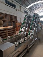 Schrägförderer für Gemüse, Obst, Gefrierfleisch, Fischbällchen, Lebensmittel – Förderband für Schalen, Becher, Eimer für Verpackungsmaschinen