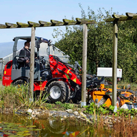 2.9 Tonnen Kleine Landwirtschafts-Lader China Hydraulisch 4x4 Garten Traktor Front Diesel Mini Rad Frontlader