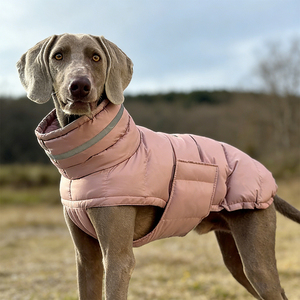 Manteau d'hiver pour chien, veste chaude, combinaison de neige pour petits et grands chiens, vêtements pour temps froid, tenues réfléchissantes, manteau d'hiver pour animaux de compagnie, combinaison de neige - Product Image 6