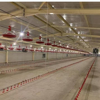 Matériel d'élevage de volailles Matériel d'élevage pour poulets de chair Matériel d'élevage pour poulets de chair et poulets de chair à vendre