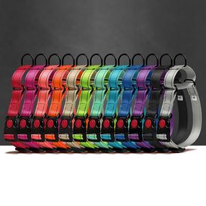 Verstelbare Reflecterende Nylon Training Hondenhalsband Martingale Dubbele Ring Afsluitbare Hondenhalsband - Product Image 3