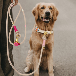 Поводок для дрессировки собак и кошек: классический, мягкий, полосатый, из нейлона, ручной работы, с выдвижной лентой, прямо с фабрики, на заказ, класса люкс - Product Image 2
