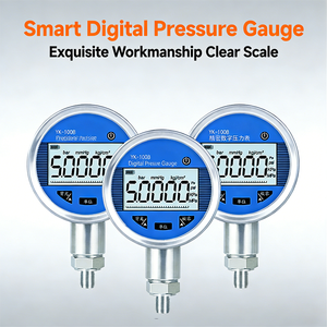 เกจวัดแรงดันดิจิตอล 0.05%FS เกจวัดสุญญากาศดิจิตอล ระบบสื่อสาร RS485 ชาร์จไฟได้ 2600mAh เครื่องวัดแรงดันสำหรับทดสอบการรั่วไหลของ<span class=keywords><strong>น้ำมัน</strong></span>และก๊าซ - Product Image 1