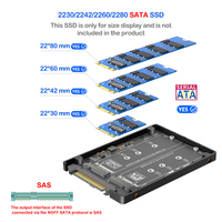 Kartu Adaptor 2 in 1 M.2 SSD ke U.2/SAS Mendukung M.2 NVMe SSD ke U.2 SFF8639 & M.2 SATA SSD ke SAS Dengan Kotak Pembuang Panas