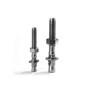 Ốc vít các nhà sản xuất thép không gỉ Neo Bolt <span class=keywords><strong>Wedge</strong></span> Neo mở rộng Bolt thông qua Bolt - Product Image 5