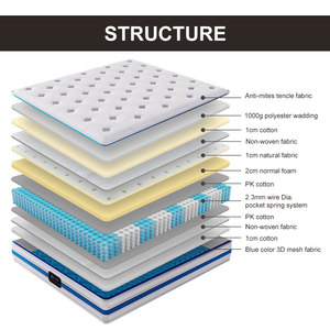 Lai Nệm Mùa Xuân Cuộn Dây 100% Cao Su Thiên Nhiên Nệm Vải Không Thấm Nước Nệm - Product Image 5