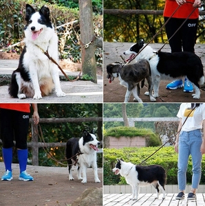 छोटे मध्यम बड़े कुत्तों के लिए व्यक्तिगत टिकाऊ बहु-कार्य चमड़े के कुत्ते के लिए हाथों से मुक्त प्रशिक्षण दोहन - Product Image 6