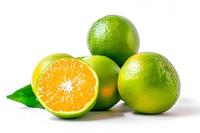 Handmatige citruspers van roestvrij staal, zware uitvoering, elektrische citruspers