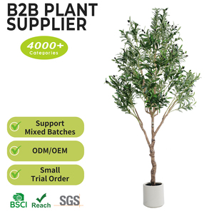 <span class=keywords><strong>Olivier</strong></span> artificiel OEM de 2,10 m avec tronc en bois texturé unique et pot, idéal pour la décoration de véranda et de cour. - Product Image 2