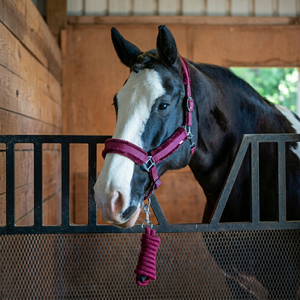 Nylon halter Customize Horse Halter custom color and size horse tack halter horse hackamore by annabelle <b>equestrian</b> - Product Image 2