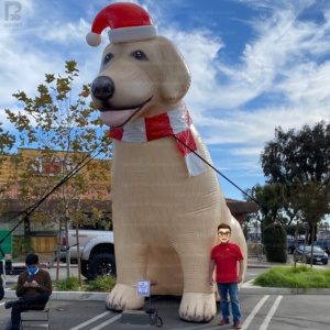 Modelo <span class=keywords><strong>de</strong></span> Perro Caniche Dorado Inflable Gigante Realista para Negocios <span class=keywords><strong>de</strong></span> Mascotas/Granjas/Cosechas/Festivales <span class=keywords><strong>de</strong></span> Otoño/Mercadotecnia - Product Image 6