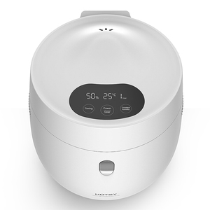 Hotsy Electric Aroma Difusores Humidificadores <span class=keywords><strong>Vapor</strong></span> 100 Centígrados Fancy Cooker Calefacción inoxidable 2L Recipiente de arroz <span class=keywords><strong>Humidificador</strong></span> - Product Image 6