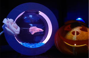 Aquário de Acrílico HD Luxuoso e Transparente, Grande Capacidade para Peixes Dourados e Tartarugas, Design Integrado para Micro Paisagens - Product Image 3