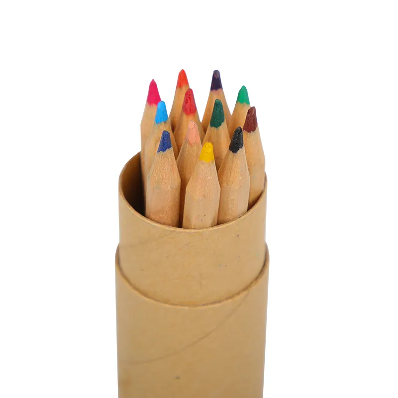 Wholesale Wooden Color Pencil Set Jumbo Natural Polar 12 Pack Designer Colored Pencils Paper Tube With Sharpener