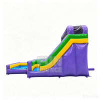 Toboggan gonflable commercial à double piste, violet, jaune, vert, pour enfants, toboggan de jeu extérieur pour les événements de parcs d'attractions