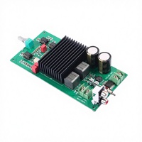 Amplificateur numérique de classe D mono Hi-Fi 1 canal TPA3255 600W haute puissance, fréquence complète/subwoofer commutable