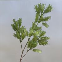 Bunga Sutra Buatan Gaya Mori untuk Pernikahan, Rumput Pampas, Ranting Pinus, Daun Eucalyptus Hijau, Grosir dari Cina