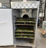 Séchoir à plateaux de qualité industrielle, équipement de déshydratation alimentaire économe en énergie pour fruits, légumes, épices et viande